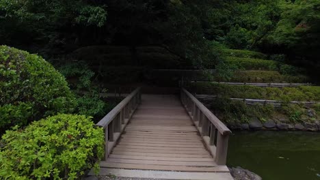 Pov-Caminando-En-El-Parque-Yoyogi