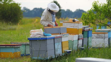 beekeeper works with honeycomb full of bees outdoors at sunny day.