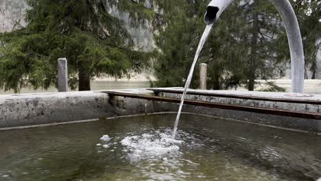 primer plano de una fuente que desemboca en una cuenca y árboles en el fondo