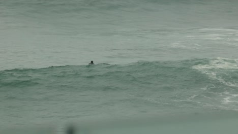 Un-Bodyboarder-Pasa-Sobre-Una-Ola-Mientras-Se-Adentra-En-El-Mar