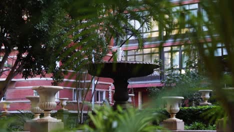 A-beautiful-fountain-covered-by-the-nature-located-in-Santa-Cruz,-Tenerife