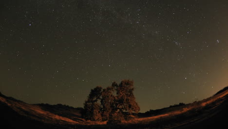 Amplio-Lapso-De-Tiempo-Nocturno-De-Senderos-De-Estrellas-Y-Roble-Del-Valle-Durante-La-Luna-Nueva-En-Oak-View-California