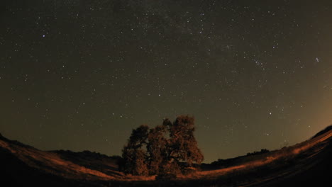 amplio lapso nocturno de senderos de estrellas y roble del valle durante una luna nueva en vista de roble california