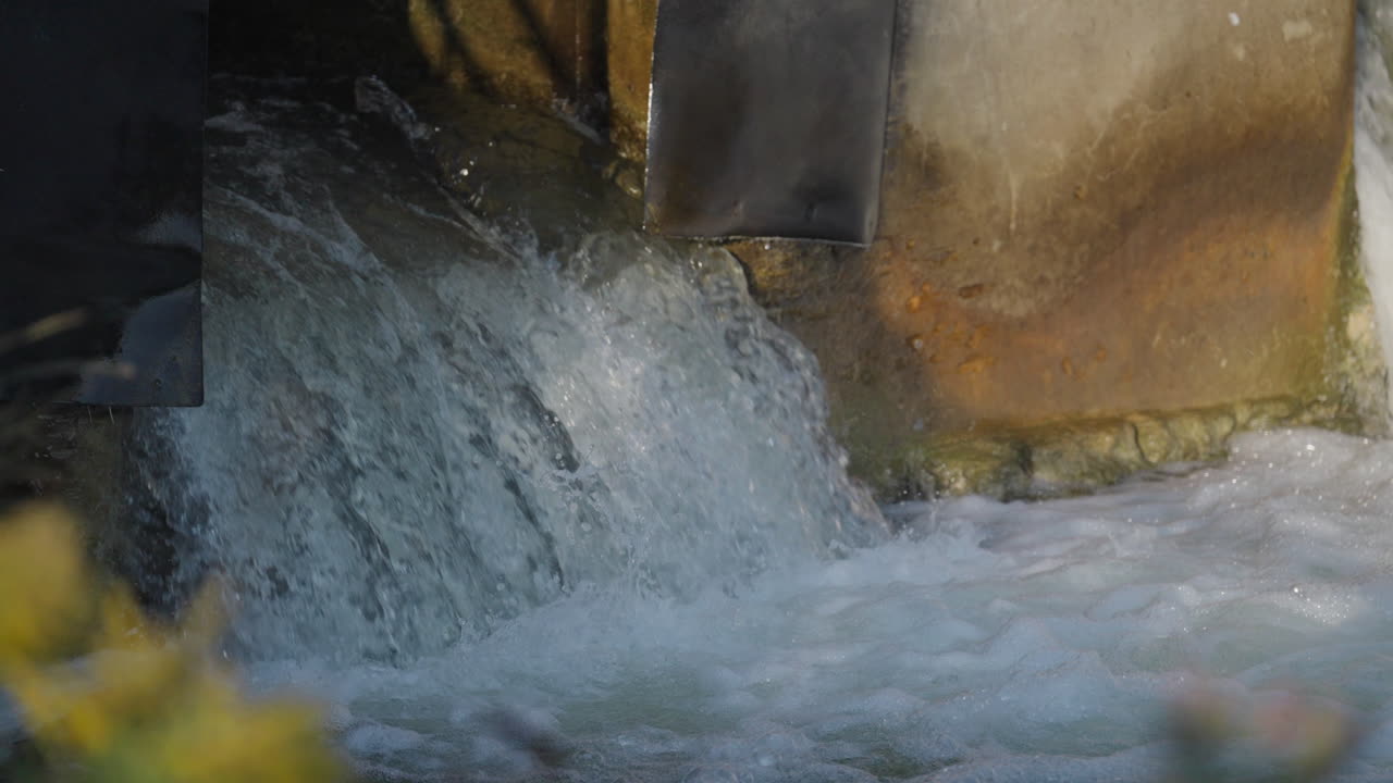 Salmon jump up river in slow motion, Ganaraska, Ontario, dynamic scene