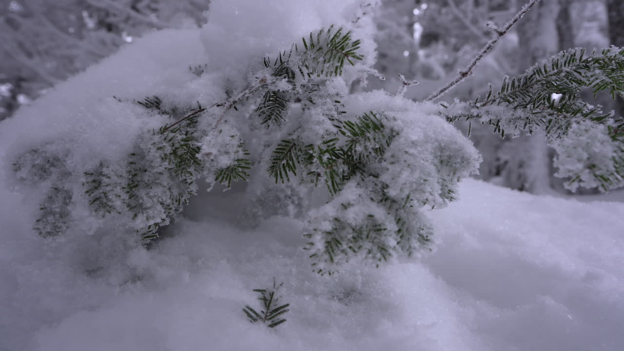 dolly pan rodada en el maravilloso invierno de la montaña del este de canadá