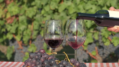 pouring red wine tasting in glass at vineyards