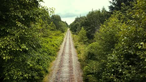 Drohnenblick-Durch-Die-Bäume,-Die-Entlang-Der-Verlassenen-Eisenbahn-Fliegen