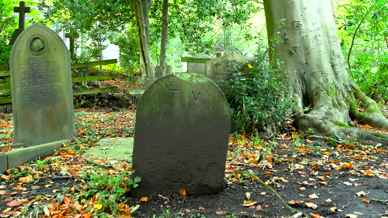 A gravestone marked TV in a churchyard with autumn leaves falling and scattered on the ground symbolizing the end of traditional television
