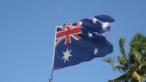 beautiful australian flag in slow motions with wind and beautiful palm tree behind at the beach in summer