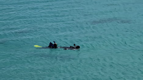 slow motion landscape of pair of scuba divers with equipment, snorkels, mask and fins kicking and swimming on water surface in sea ocean bay training certification leisure hobby travel tourism