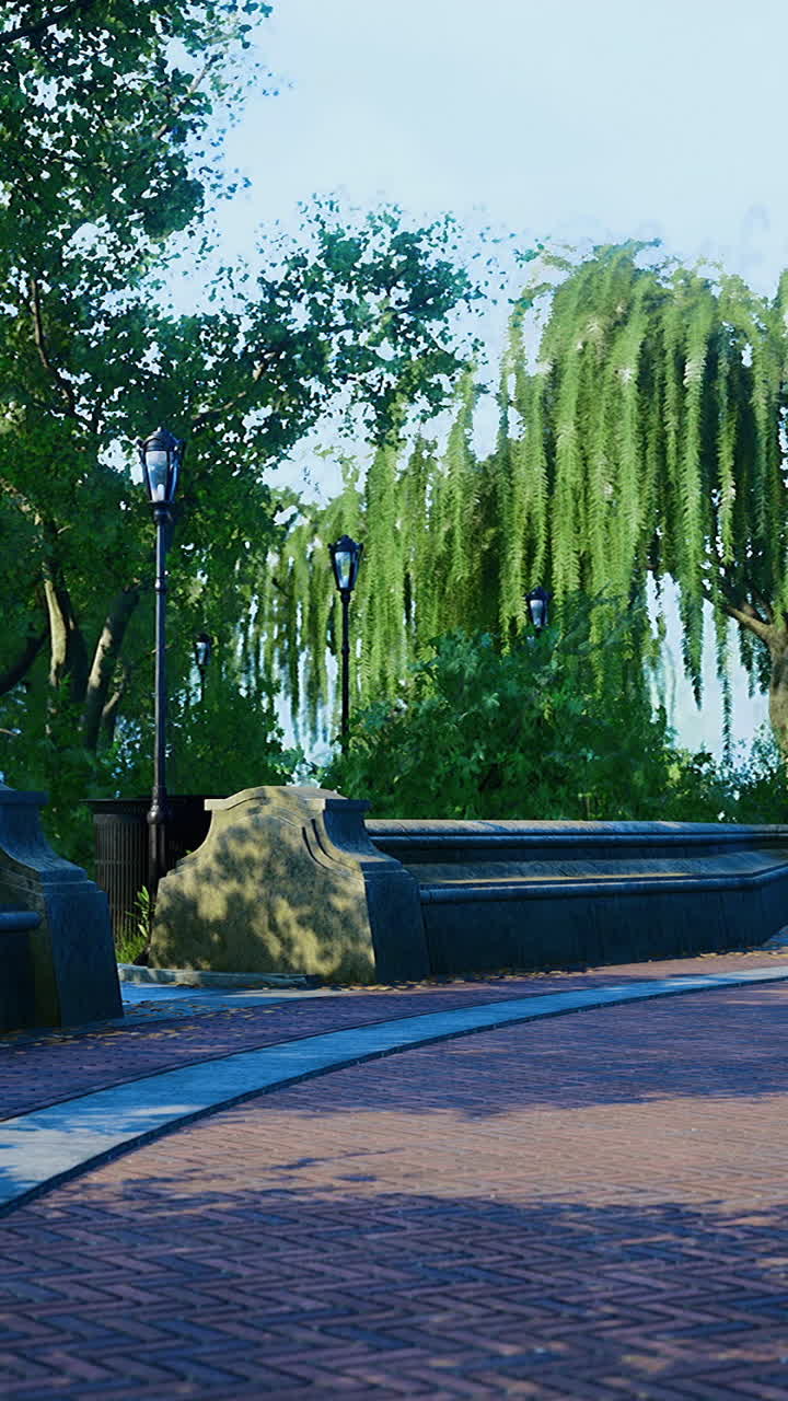 Serene pathway lined with trees invites leisurely strolls by the water