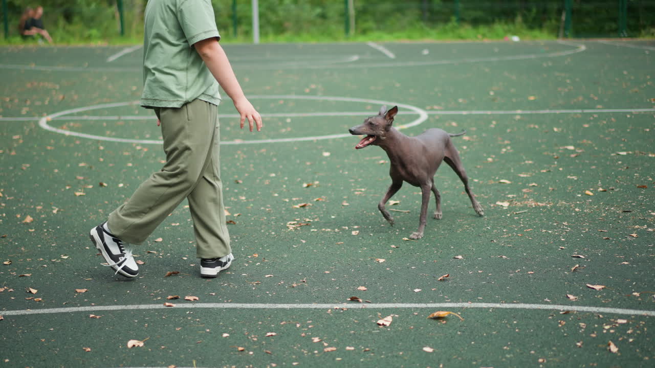 Blond White Boy Carrying Playful Dog On Outdoor Basketball Court, Energetic Jumps And Friendly Nips, Boy Acting As Playful Trainer And Rescuer, Sneakers On Asphalt, Scattered Leaves, Candid Summer