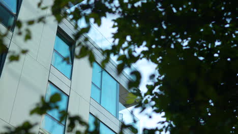 modern building peeking through green foliage, blending nature with urban architecture