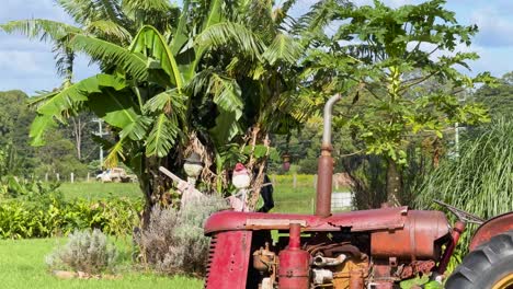an old, weathered tractor sits idle next to a banana tree in a lush, sunlit field. static camera, vibrant daylight, rural australian landscape