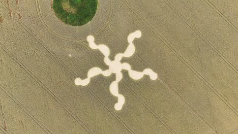 aerial view of an intricate crop circle in a field