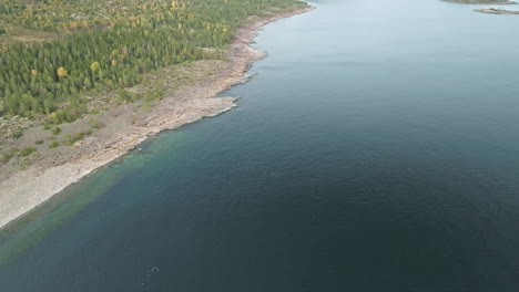 calm sea along swedish coast with autumn forest fir trees