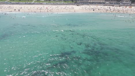 vacationists swim at bondi beach with clear blue sea in summer - bronte, nsw, australia