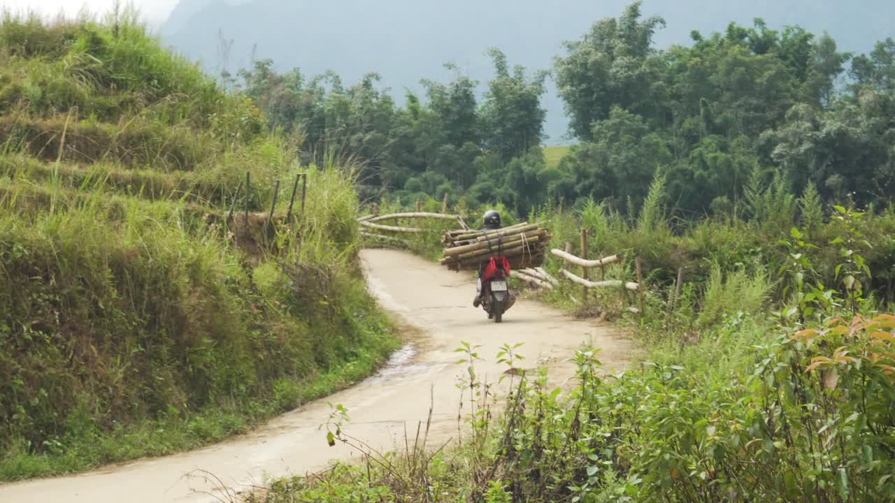 Motorcyclist transports large logs on a winding countryside road surrounded by vibrant grass fields and tall bamboo tress with a misty mountain backdrop, evoking traditional rural life, Sapa, Vietnam.