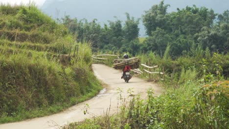 motorcyclist transports large logs on a winding countryside road surrounded by vibrant grass fields and tall bamboo tress with a misty mountain backdrop, evoking traditional rural life, sapa, vietnam.