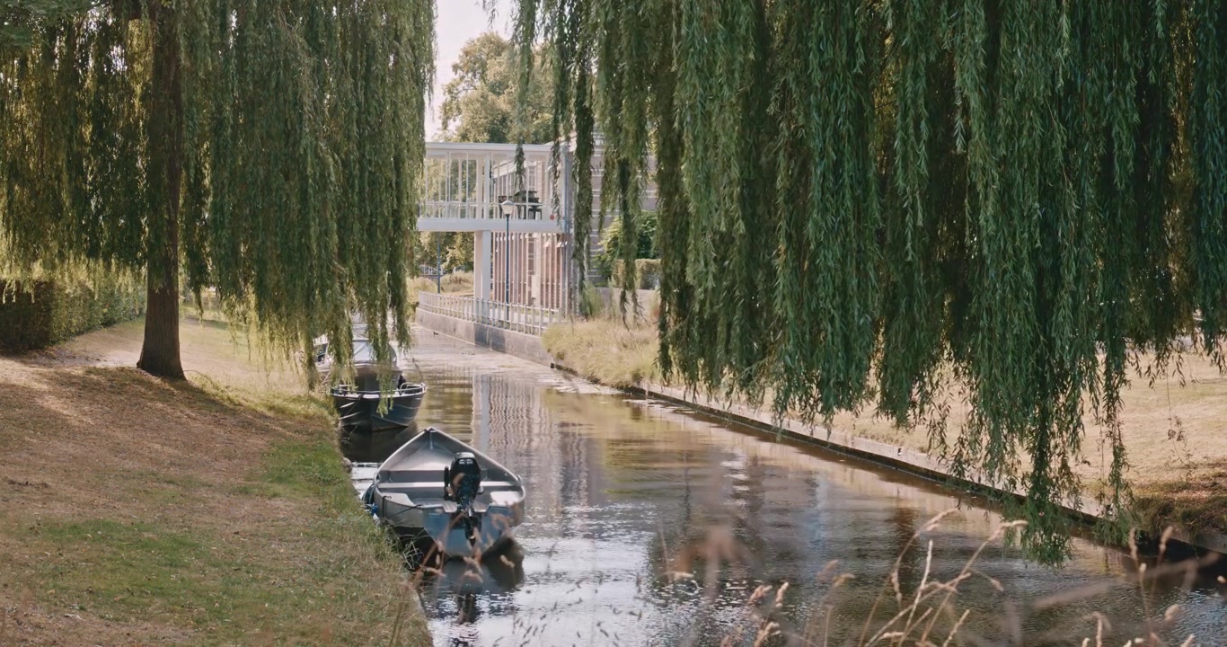 Fredfyldt vandvejsscene med robåde fortøjet langs rolig kanal, flankeret af sørgepiltræer og moderne arkitektur i baggrunden. Frodigt grønt, skovrefleksion, rolig og reflekterende.