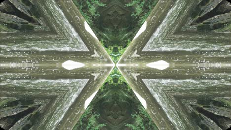 greenery kaleidoscope using forest imagery from wissahickon creek, philadelphia, #19