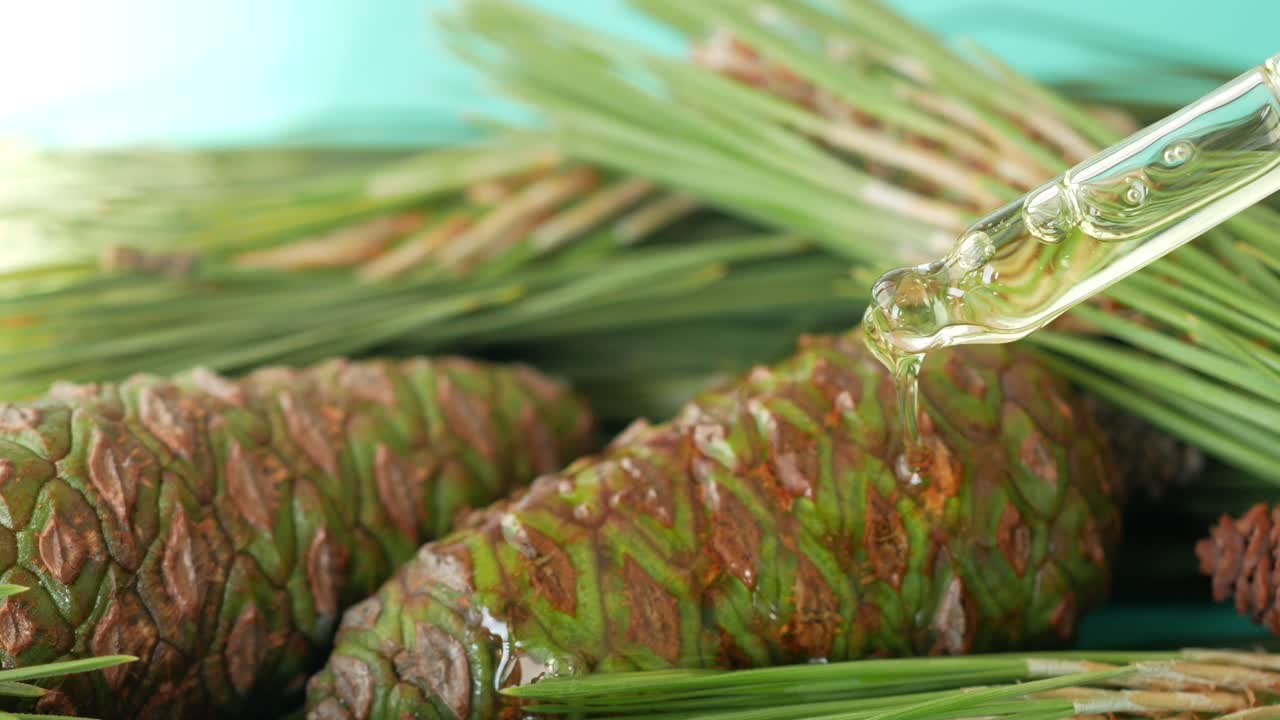 소나무 에테리얼 오일 (pine essential oil) - 소나무 과 바늘을 포함합니다.