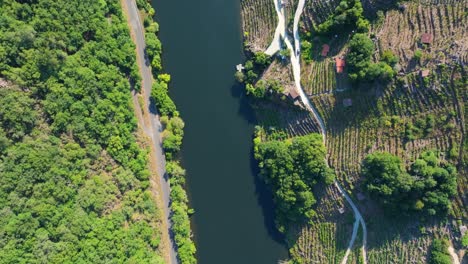 aerial view of river and vineyards