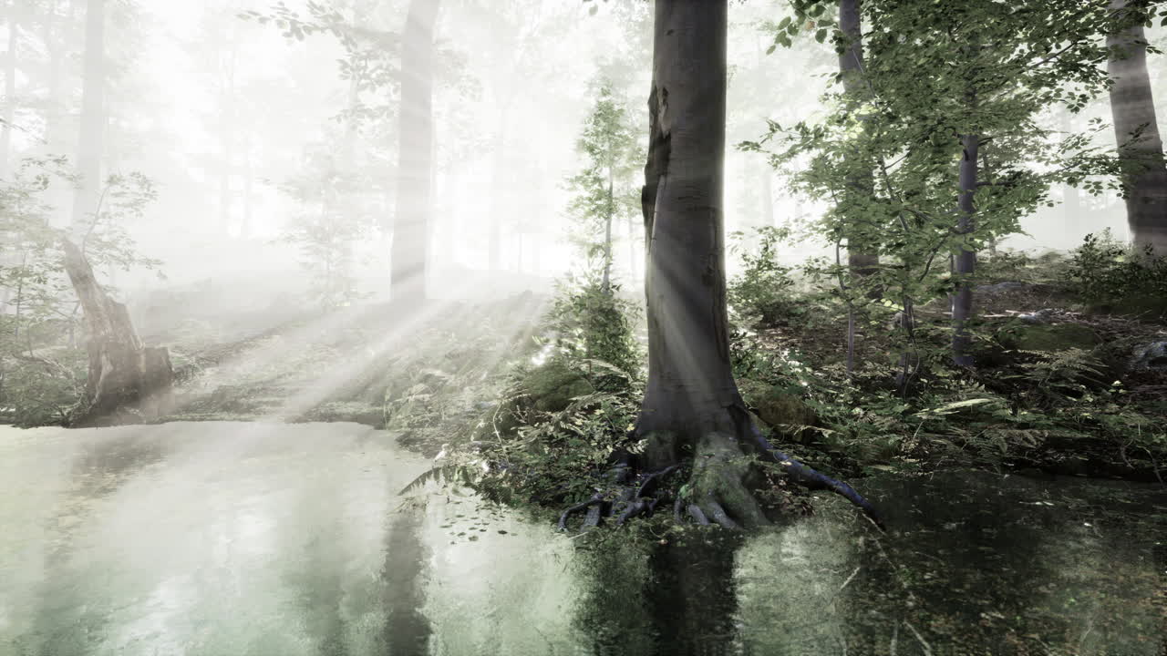 호수 숲 위의 안개 같은 새벽