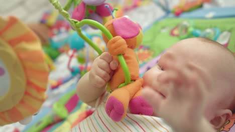 cute baby gnawing toys. sweet parenthood. lovely boy with rattle