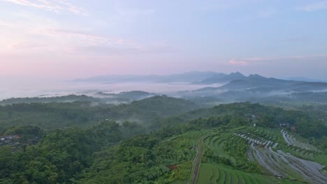 Flying-over-the-terraced-hills-and-green-landscape-of-indonesia-on-a-cloudy-day