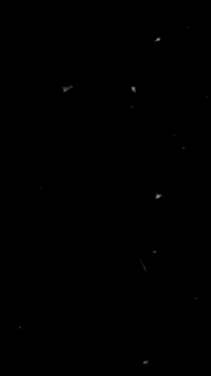 White Snow Falling Against a Black Background