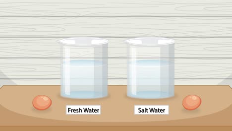 animated egg buoyancy test with fresh and salt water