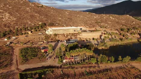 valle de guadalupe의 호수 근처 포도원의 공중 전망