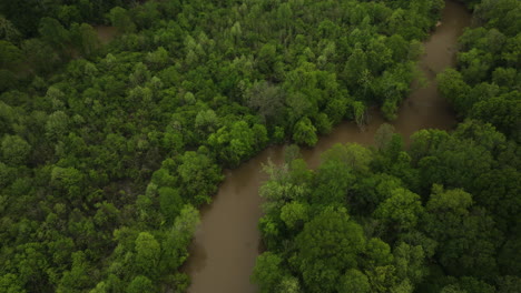 Aerial-shot-of-the-meandering-Wolf-River-winding-through-lush-greenery-in-Collierville,-Tennessee,-daylight