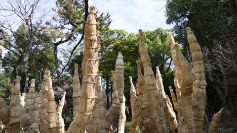 sequential unwrapping of trees in a garden