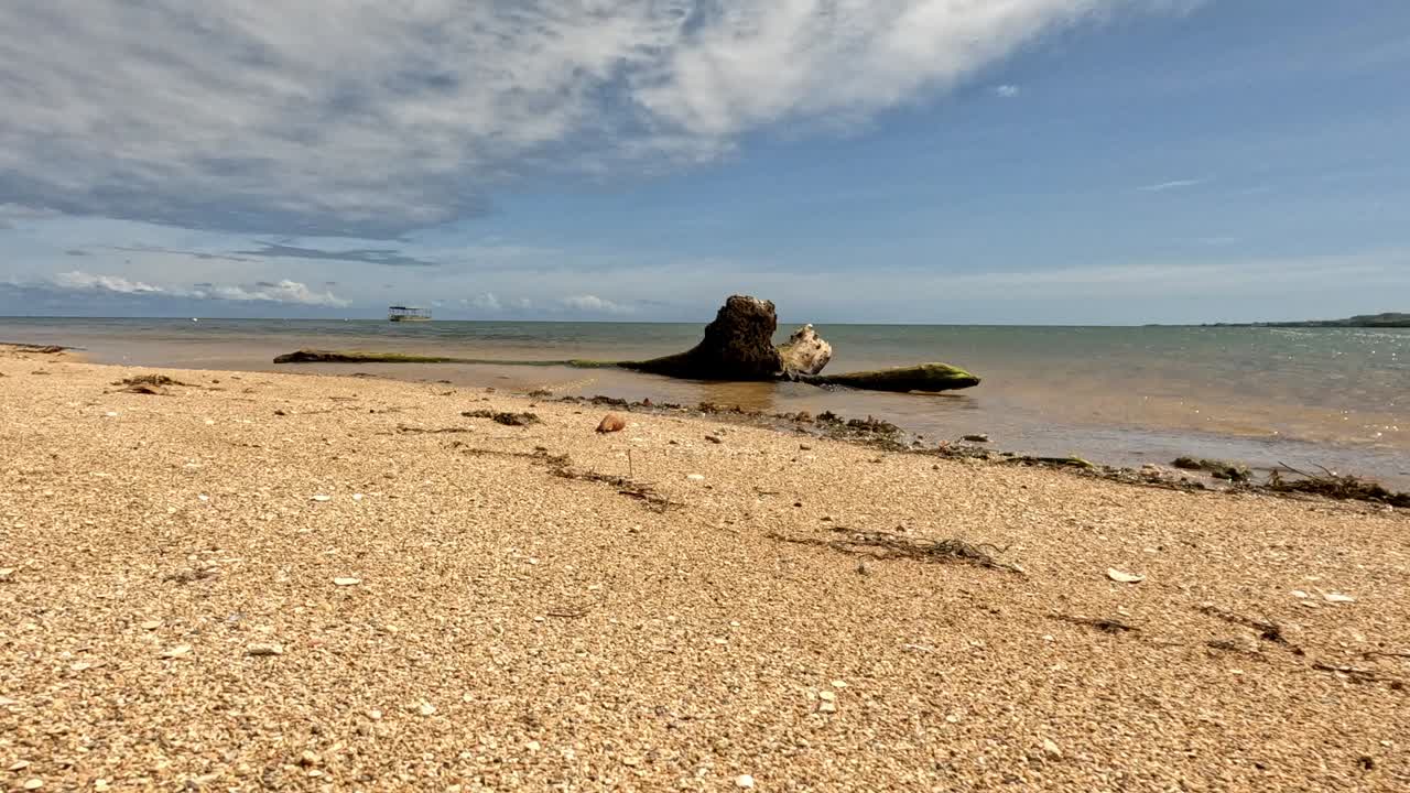 나무 통나무가 있는 평화로운 열대 모래 해변 피지