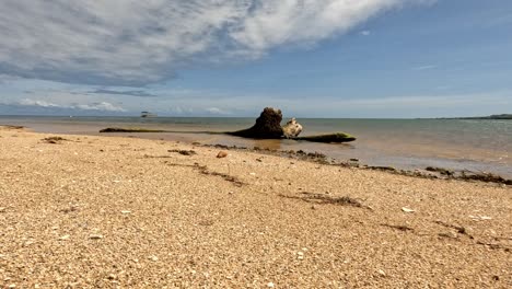 Peaceful-tropical-sandy-beach-with-tree-log-washed-up-on-shore-Fiji