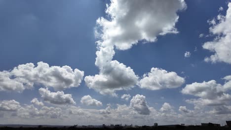 paisaje de un parque nacional y ciudad del horizonte en el fondo