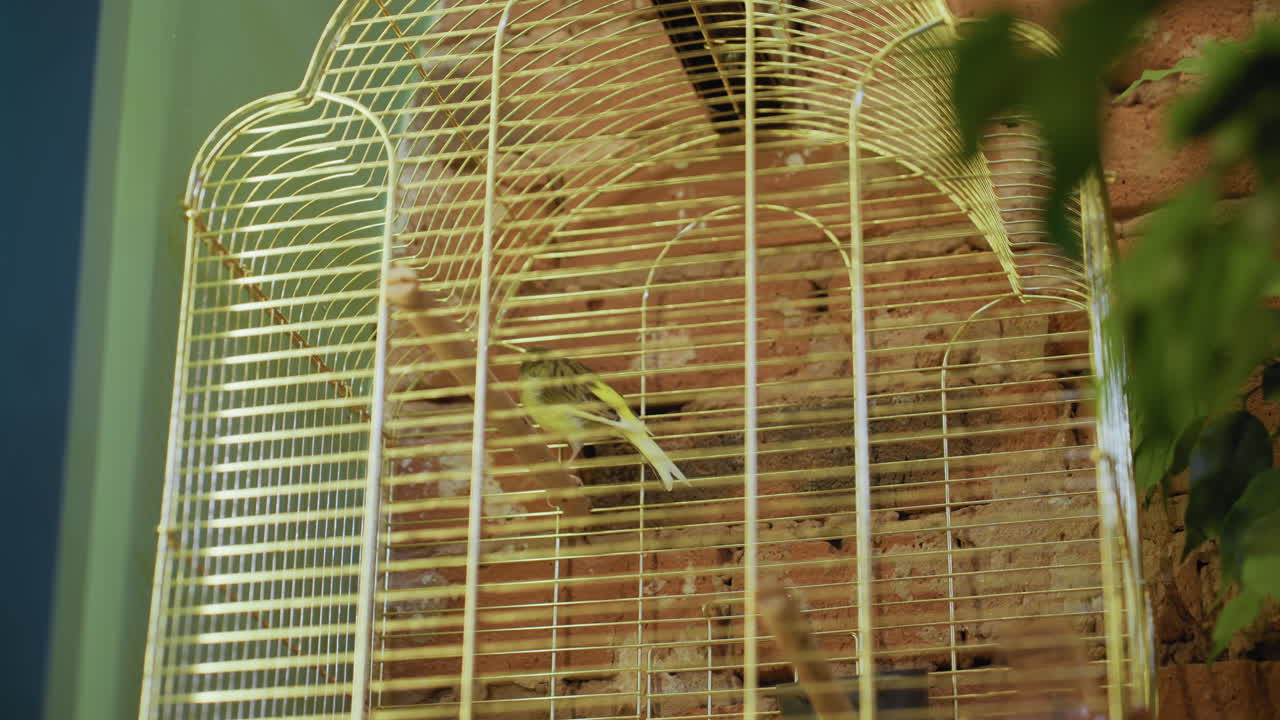 Green bird with black markings perches inside white metal cage mounted against rustic brick wall, illuminated by soft ambient light highlighting vibrant feathers and delicate cage structure