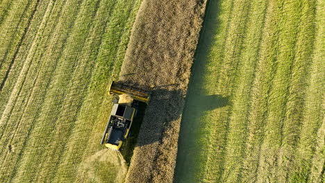 Aerial-view-of-a-combine-harvester-cutting-crops-in-a-green-field,-leaving-a-trail