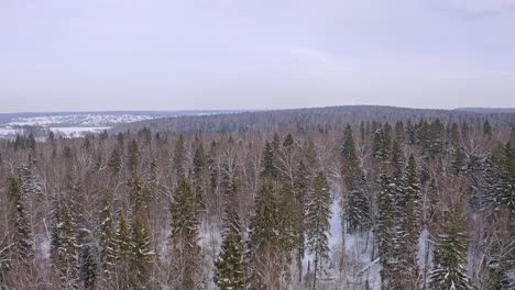 Vista-Aérea-De-Los-Bosques-Nevados-En-La-Temporada-De-Invierno