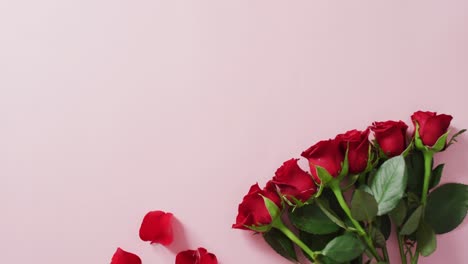 Rote-Rosen-Und-Blütenblätter-Liegen-Am-Valentinstag-Auf-Rosa-Hintergrund