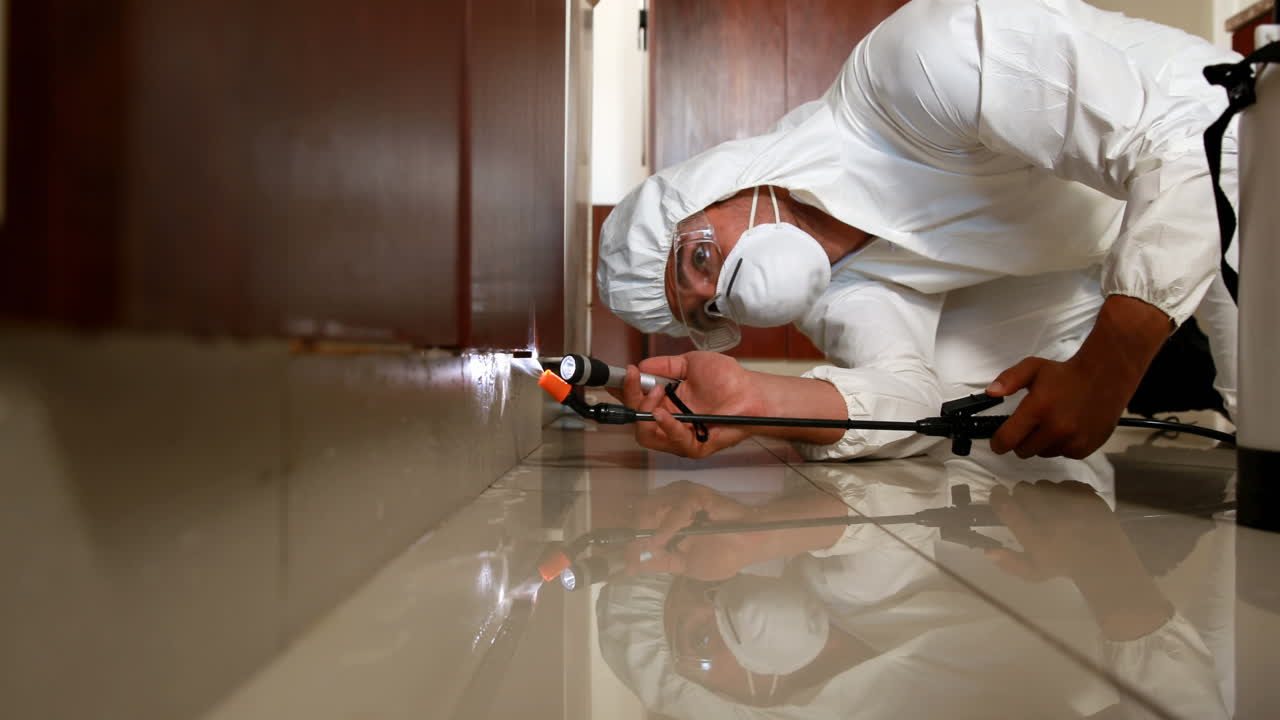 Man doing pest control