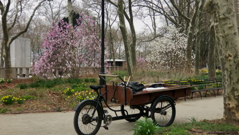 Spring-flowers-in-bloom