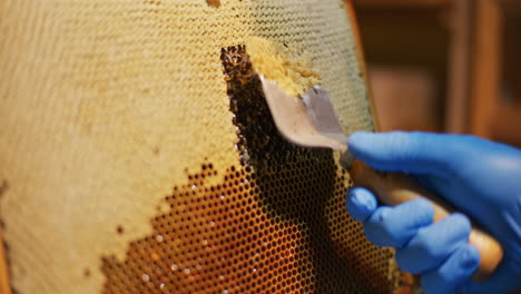 the beekeeper removes wax with a spatula