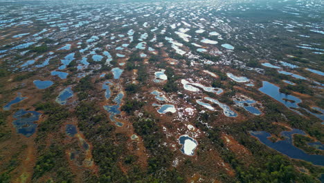 high aerial view of the maze of wetlands lakes in kemeri bog, latvia