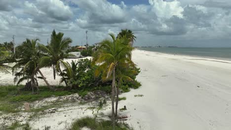 Reveal-view-of-beach-and-palm-trees-at-Ft-Myers-Beach-Florida