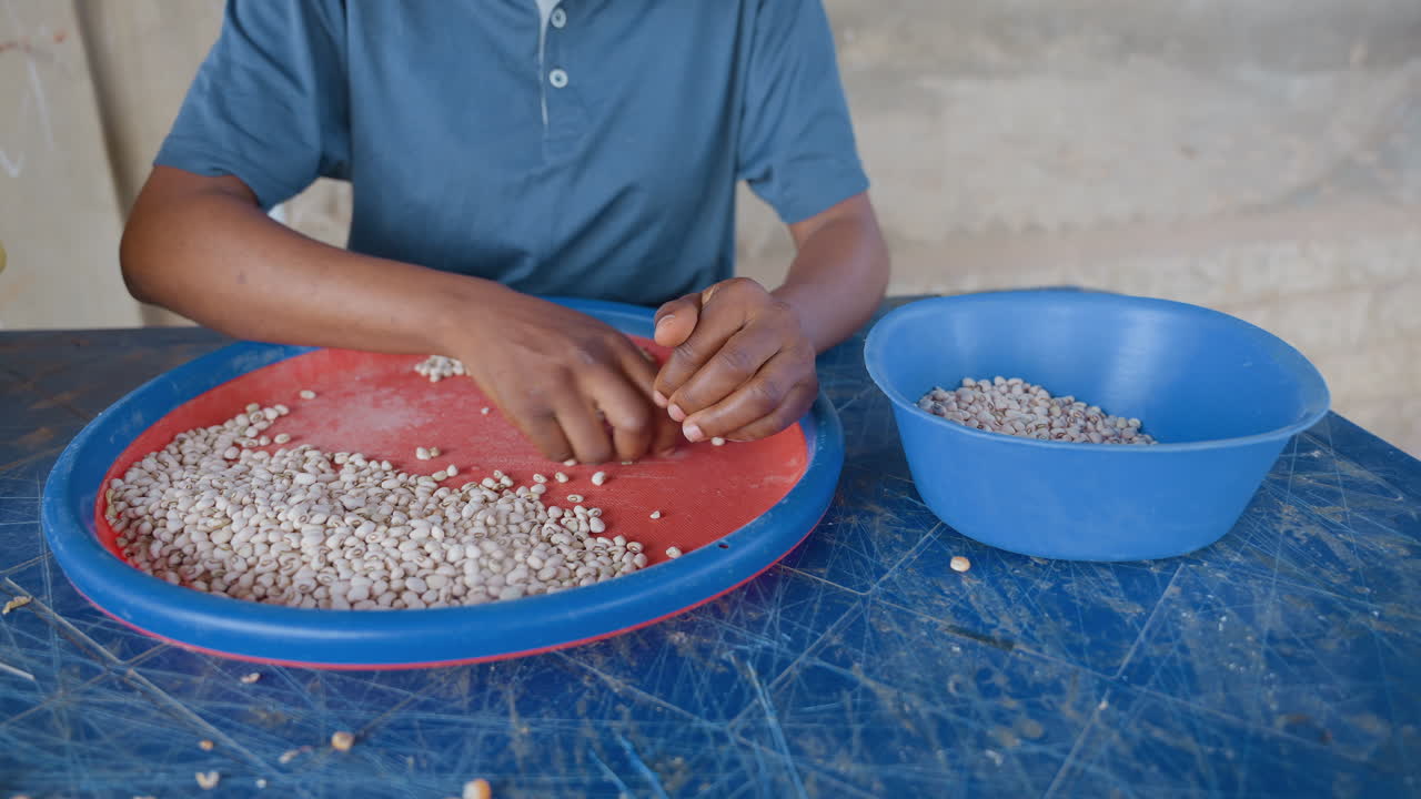 Wide shot black person sorting beans on blue table with matching bowl, methodical transfer of legumes into container, steady household routine and pantry prep, practical domestic work with calm