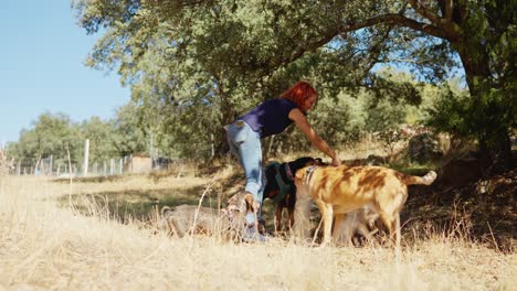 a woman interacting with a group of dogs outdoors