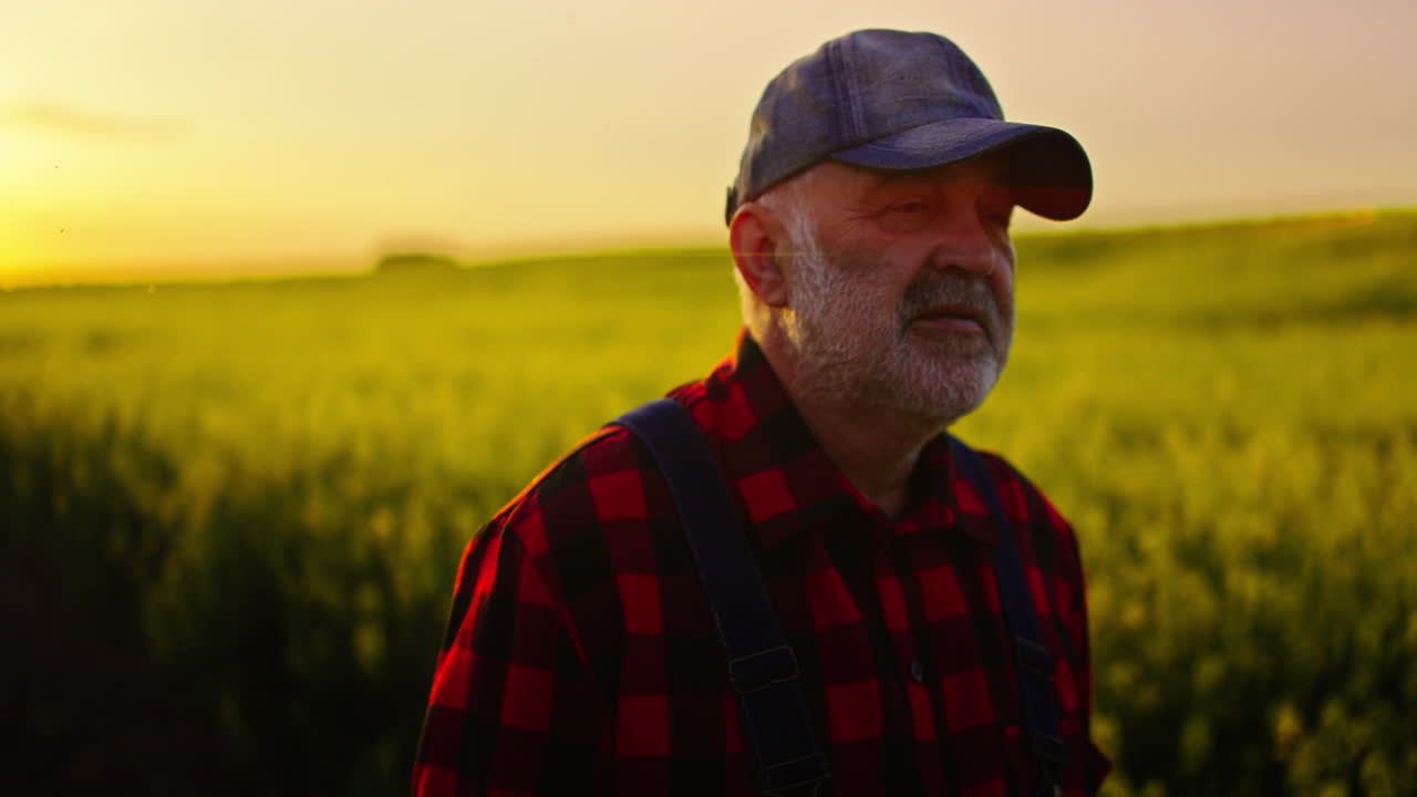 Ældre landmand observerer sin afgrøde på en mark ved solnedgang